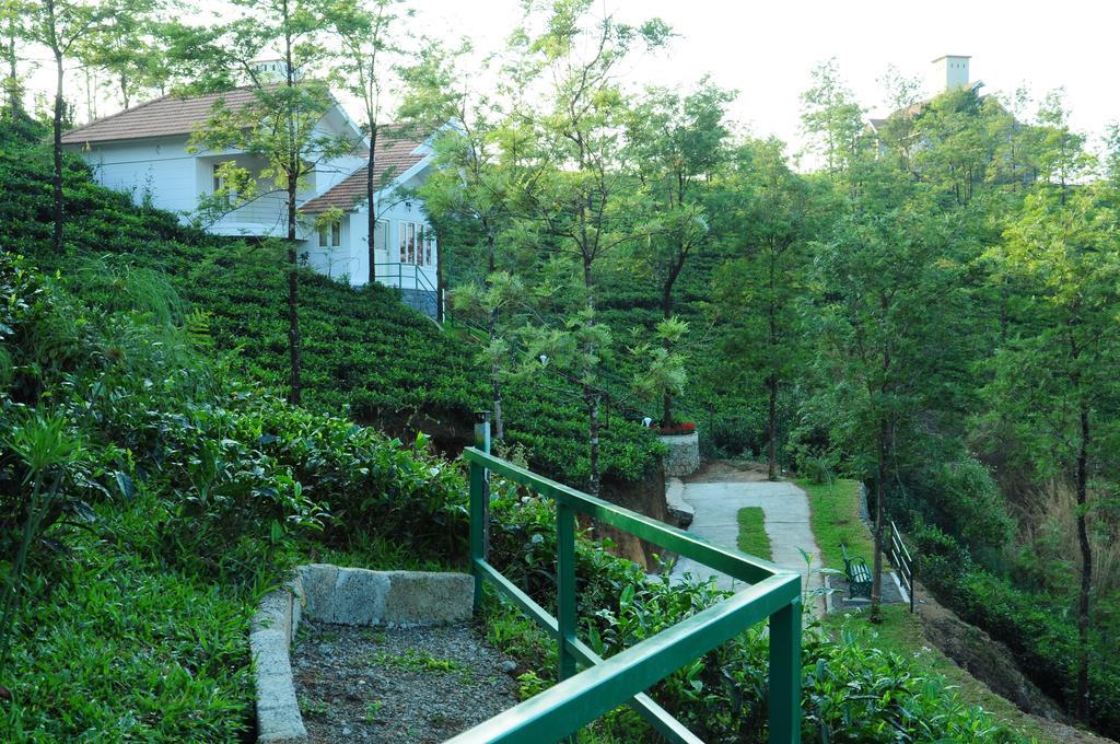 Falcon Crest Vagamon Phòng bức ảnh