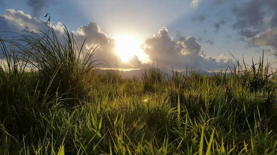 Falcon Crest Vagamon Ngoại thất bức ảnh